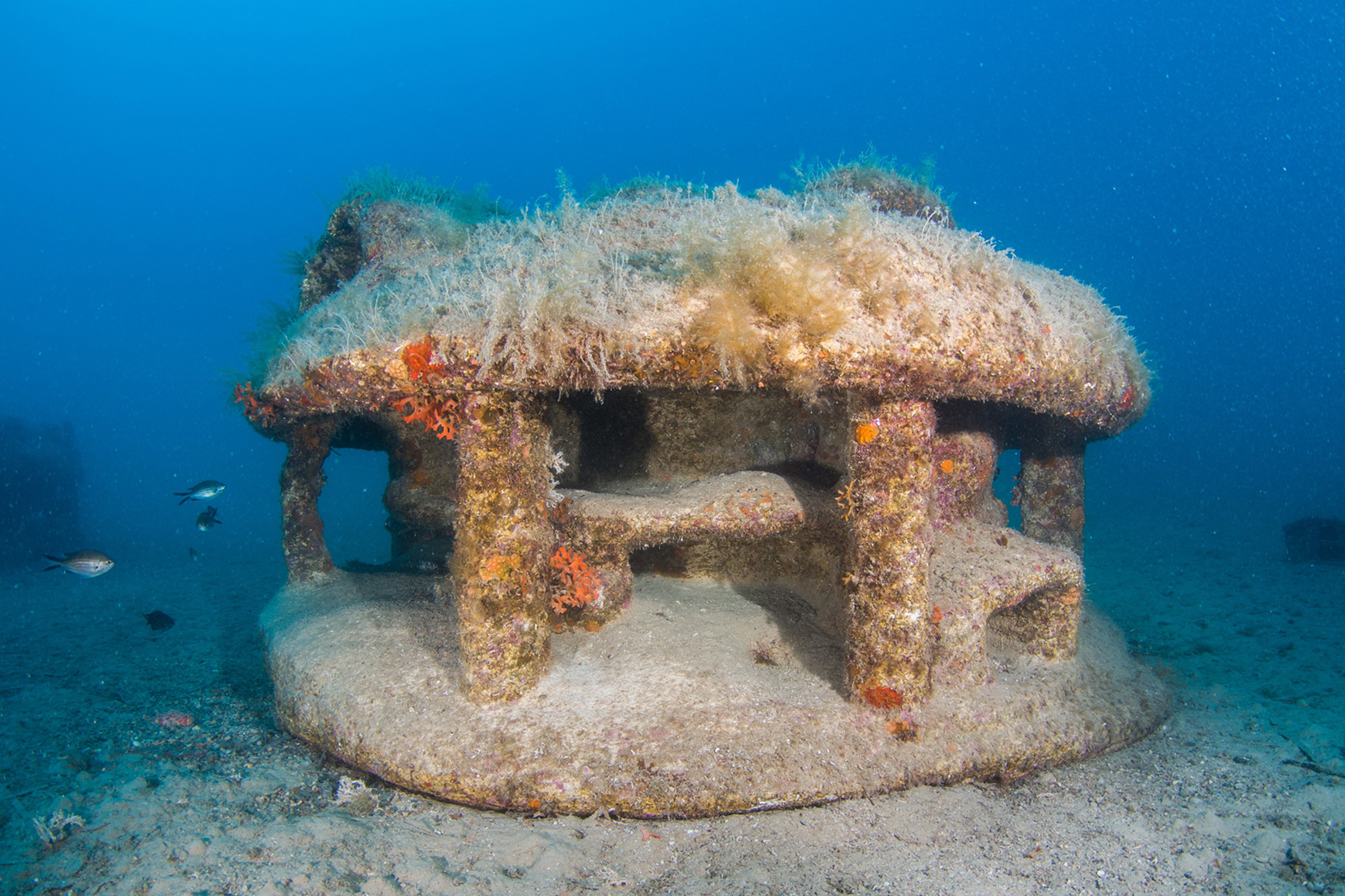 Monaco Pilot: one of the 3D-printed reefs on the seabed offshore Monaco