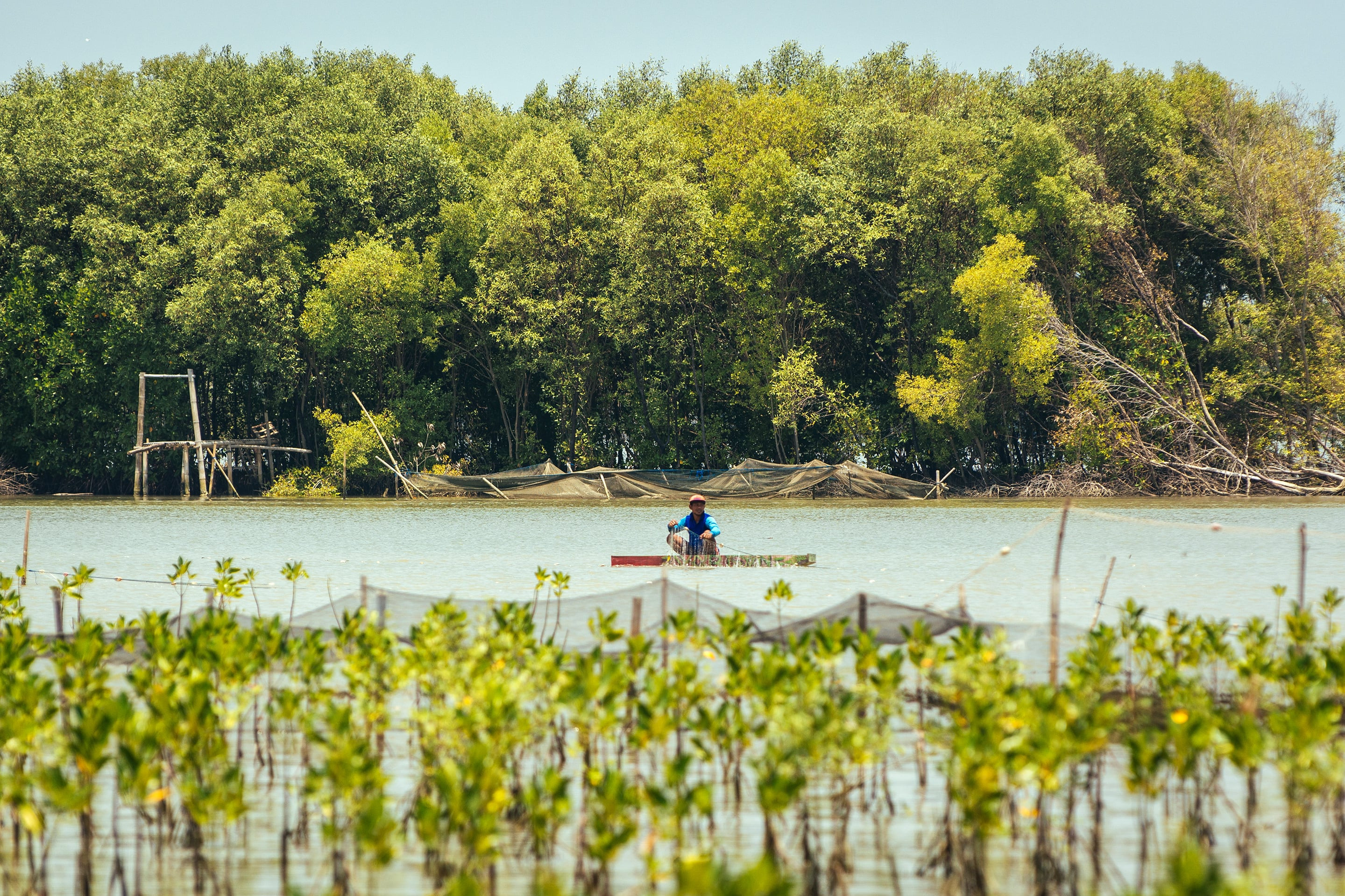 Local people working on the shrimp farm in Timbulsloko