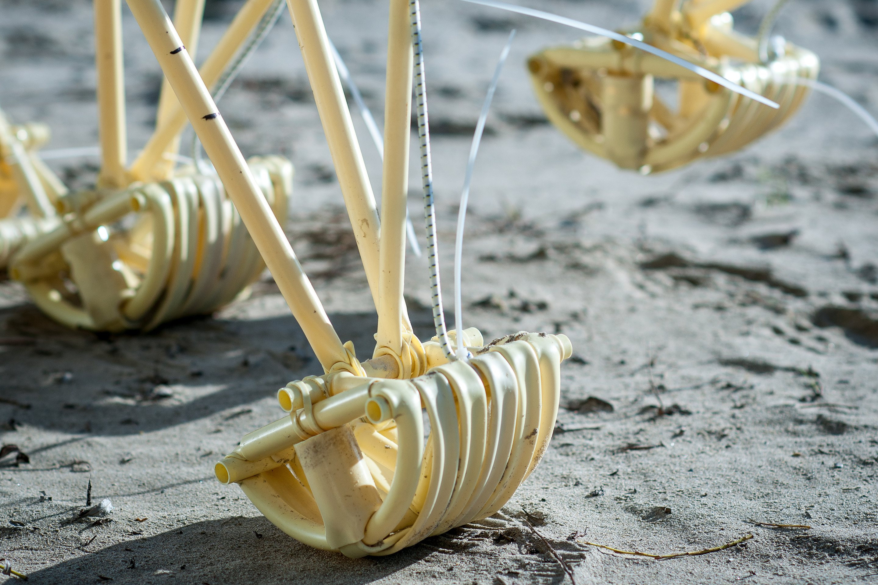 Detail of the Strandbeest